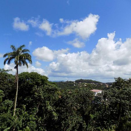 Anajodrey Apartment Saint-Joseph Bagian luar foto